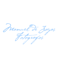 Logo Manuel de Zayas copia 2
